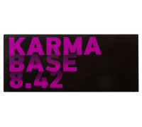 Бинокль Levenhuk Karma BASE 8x42