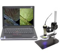 Микроскоп цифровой Dino-Lite AM4113T-CFVW (флуоресцентный/ультрафиолетовый)